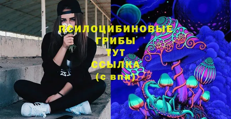 Галлюциногенные грибы мицелий  Вельск 